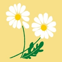 野ばな