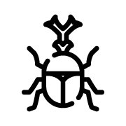 カブトムシ