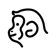 申